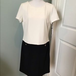 NWT Tommy Hilfiger dress cream and black